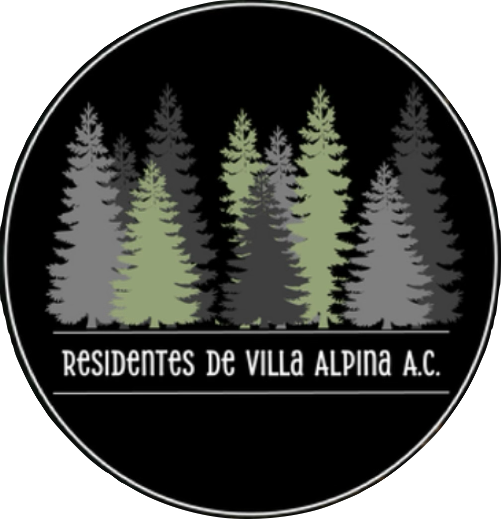 Villa Alpina Logo